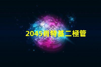 2045肖特基二極管參數(shù)揭秘其性能與應(yīng)用優(yōu)勢
