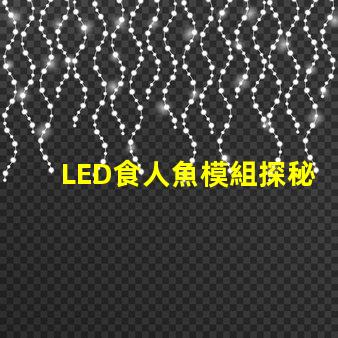 LED食人魚模組探秘新型LED食人魚模組的優(yōu)勢(shì)與應(yīng)用