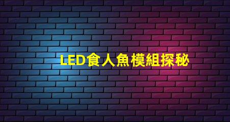 LED食人魚模組探秘新型LED食人魚模組的優(yōu)勢與應用