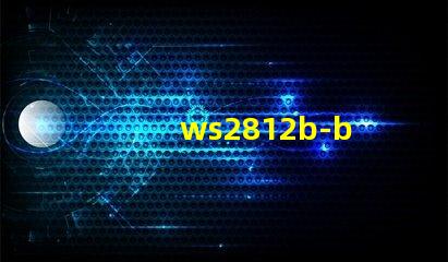 ws2812b-b