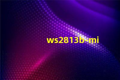 ws2813b-mini燈珠