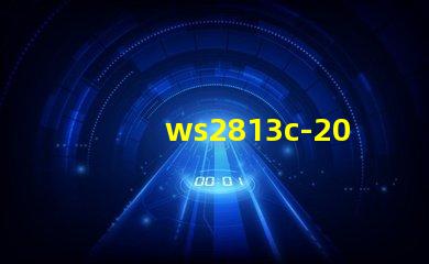 ws2813c-2020