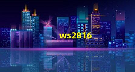 ws2816