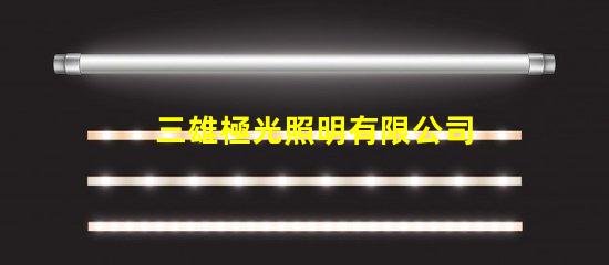 三雄極光照明有限公司引領LED照明潮流的創新先鋒