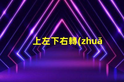 上左下右轉(zhuǎn)向燈如何優(yōu)化您的車輛信號(hào)燈設(shè)計(jì)
