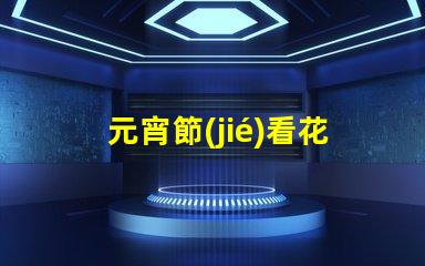 元宵節(jié)看花燈探索獨特花燈創(chuàng)造的節(jié)日魅力