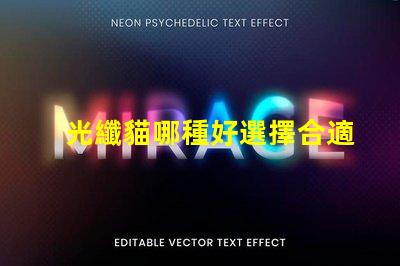 光纖貓哪種好選擇合適光纖貓的終極指南