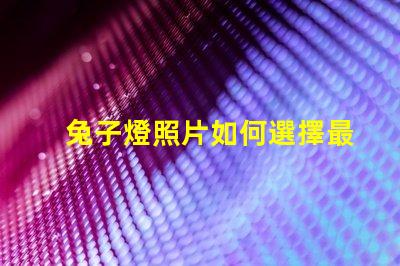 兔子燈照片如何選擇最適合您的兔子燈設計