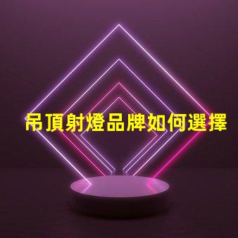 吊頂射燈品牌如何選擇最具性價比的頂尖品牌