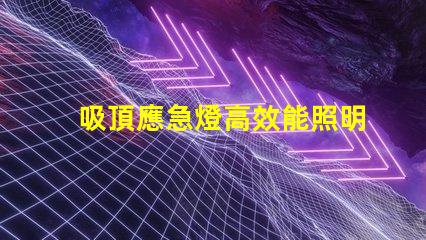 吸頂應急燈高效能照明解決方案,您準備好了嗎