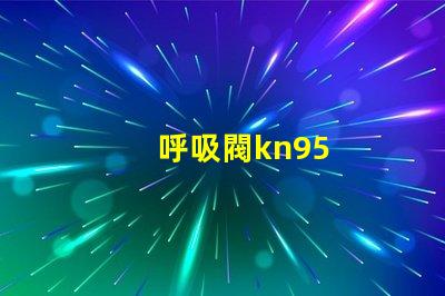 呼吸閥kn95
