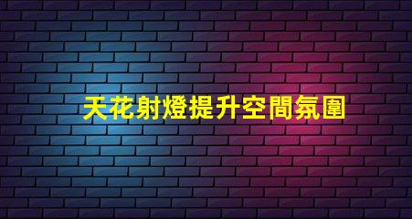 天花射燈提升空間氛圍的最佳選擇