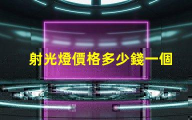 射光燈價格多少錢一個市場價格解析與選購指南
