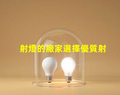 射燈的廠家選擇優質射燈生產商的關鍵因素