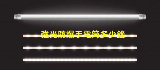 強光防爆手電筒多少錢市場價格與性能對比解析