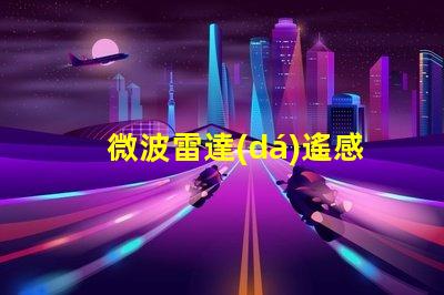 微波雷達(dá)遙感探測技術(shù)在復(fù)雜環(huán)境中的應(yīng)用