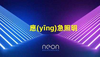 應(yīng)急照明和疏散指示提升安全性的重要設(shè)施解析