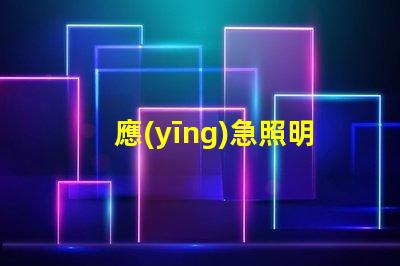 應(yīng)急照明燈和疏散指示燈緊急情況下的安全指引解決方案