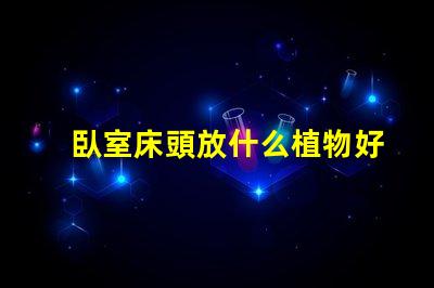 臥室床頭放什么植物好助眠植物推薦與效果分析