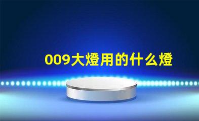 009大燈用的什么燈珠