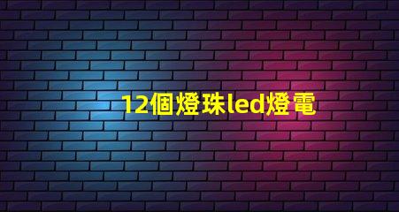 12個燈珠led燈電路圖