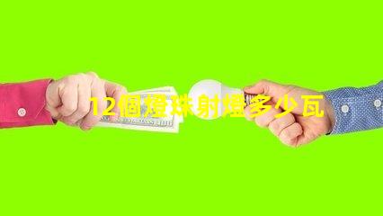 12個燈珠射燈多少瓦