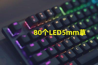 80個LED5mm草帽燈珠配多大驅動器？