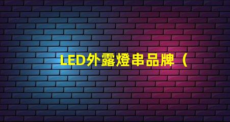 LED外露燈串品牌（高品質LED外露燈串推薦）