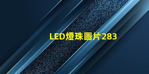 LED燈珠圖片2835