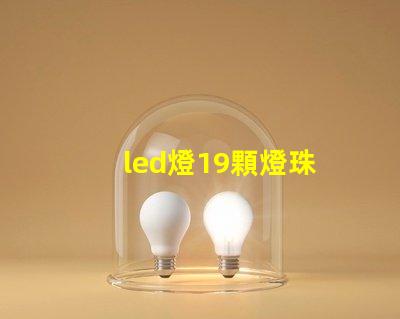 led燈19顆燈珠