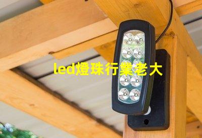 led燈珠行業老大