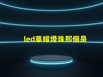 led草帽燈珠那個是正