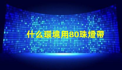 什么環境用80珠燈帶