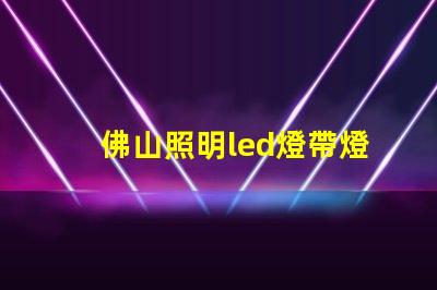 佛山照明led燈帶燈珠