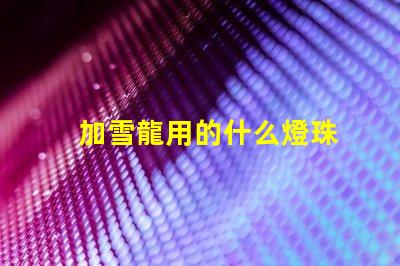 加雪龍用的什么燈珠