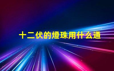 十二伏的燈珠用什么通電