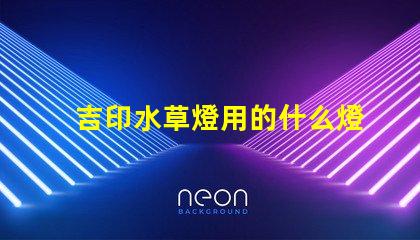 吉印水草燈用的什么燈珠