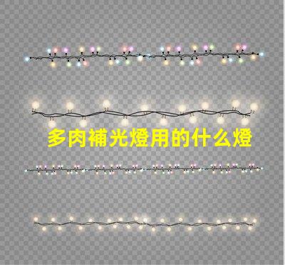 多肉補光燈用的什么燈珠