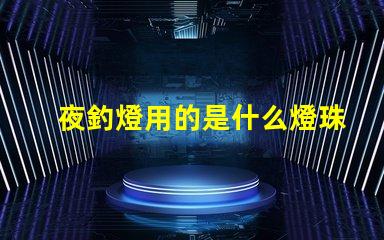 夜釣燈用的是什么燈珠