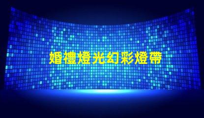 婚禮燈光幻彩燈帶