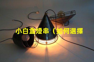 小白盒燈串（如何選擇適合小白的盒燈串）