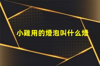 小雞用的燈泡叫什么燈珠