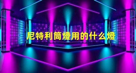 尼特利筒燈用的什么燈珠