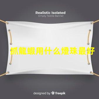 抓龍蝦用什么燈珠最好呢