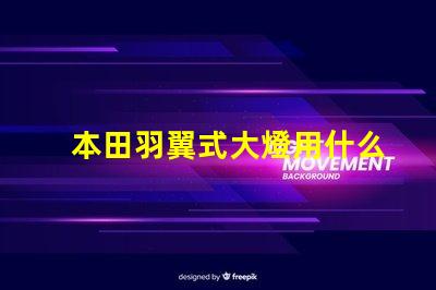 本田羽翼式大燈用什么燈珠
