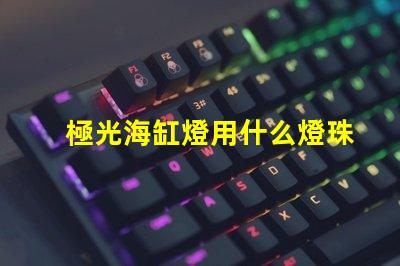 極光海缸燈用什么燈珠