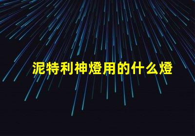 泥特利神燈用的什么燈珠