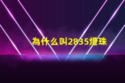 為什么叫2835燈珠