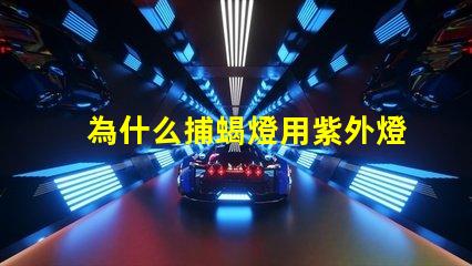 為什么捕蝎燈用紫外燈珠