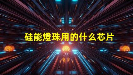 硅能燈珠用的什么芯片